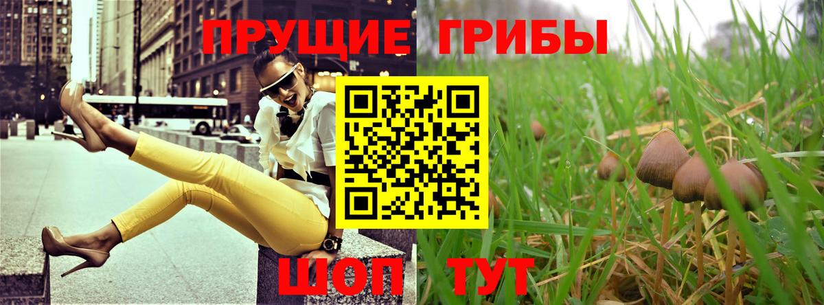 Псилоцибиновые грибы прущие грибы Усть-Илимск