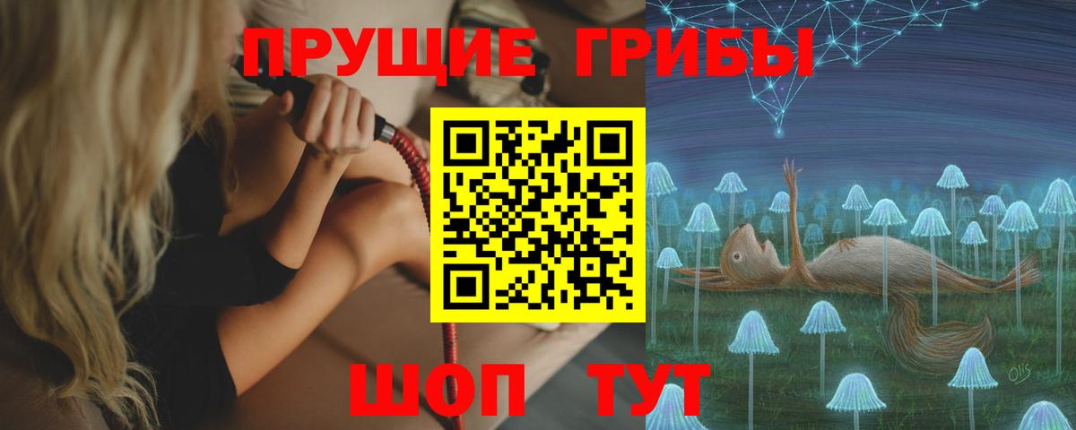 Псилоцибиновые грибы Magic Shrooms  цена наркотик  Усть-Илимск  Вход с VPN 